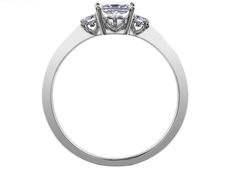 18K White Gold & Palladium Alloy (hypoallergenic) 0.58ttw Princess Cut Canadian Diamond Engagement Ring