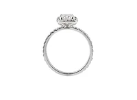 18K White Gold & Palladium Alloy (hypoallergenic) 0.71-1.61cttw Princess Cut Canadian Diamond Engagement Ring - / Carat Total