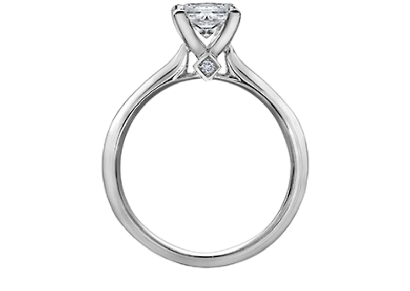 18K White Gold & Palladium Alloy (hypoallergenic) 0.31-0.71cttw Princess Cut Canadian Diamond Engagement Ring - / 0.31 Carat Total