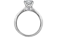 18K White Gold & Palladium Alloy (hypoallergenic) 0.31-0.71cttw Princess Cut Canadian Diamond Engagement Ring - / 0.31 Carat Total