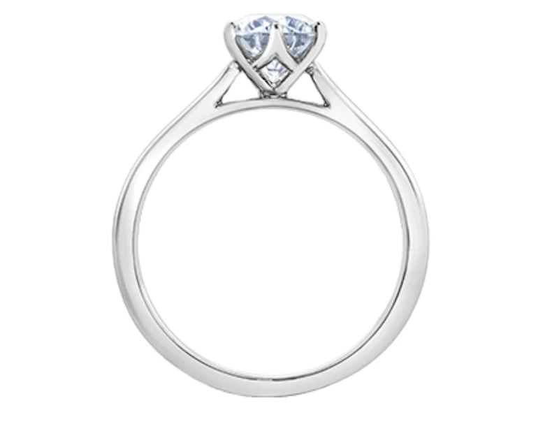 18K White Gold & Palladium Alloy (hypoallergenic) 1.25cttw Round Brilliant Canadian Diamond Engagement Ring - /