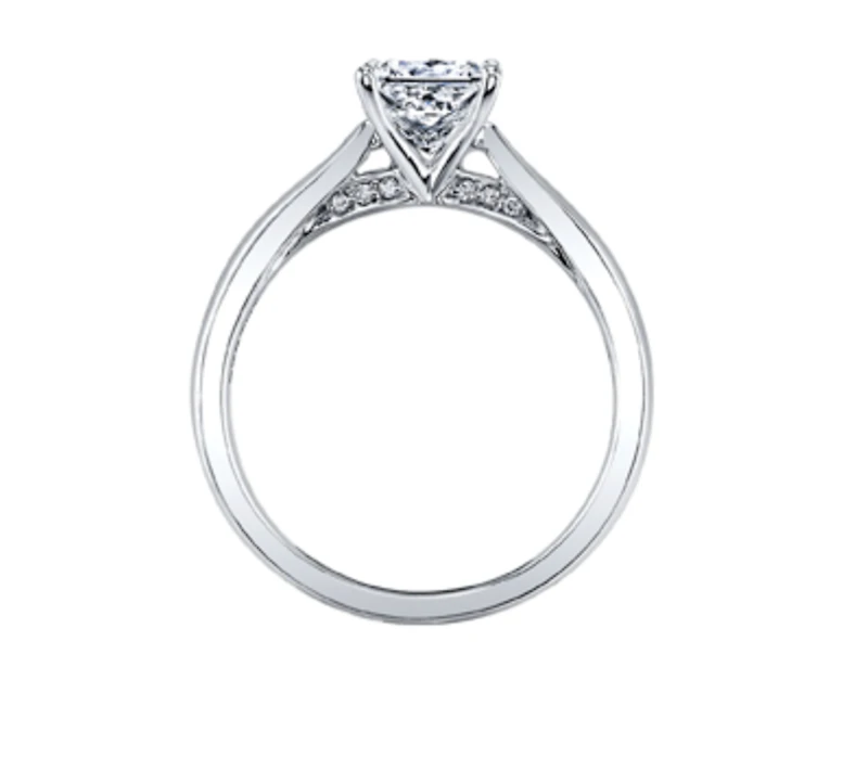 18K White Gold & Palladium Alloy (hypoallergenic) 0.53-1.03cttw Princess Cut Canadian Diamond Engagement Ring - / 0.53 Carat Weight