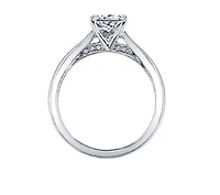 18K White Gold & Palladium Alloy (hypoallergenic) 0.53-1.03cttw Princess Cut Canadian Diamond Engagement Ring - / 0.53 Carat Weight