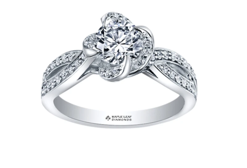 18K White & Rose Gold Palladium Alloy (hypoallergenic) 0.55-1.25cttw Round Brilliant Canadian Diamond Engagement Ring - / 0.55 Carat Total