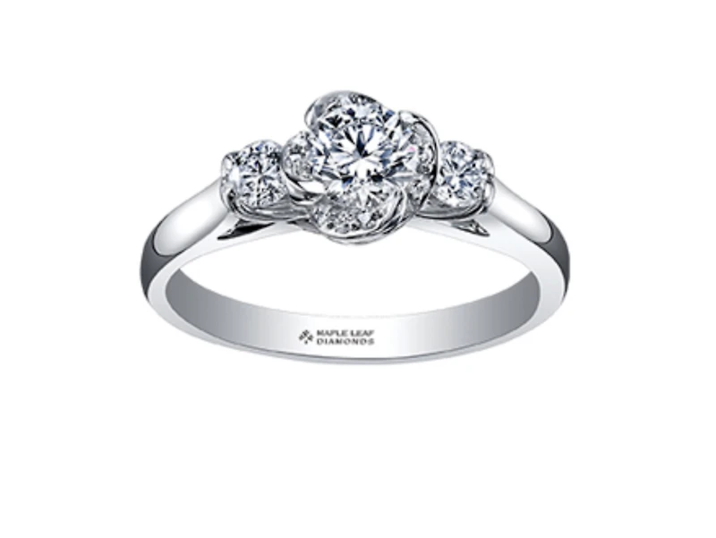 18K White Gold Palladium Alloy (hypoallergenic) 0.50-0.80cttw Round Brilliant 3 Stone Canadian Diamond Engagement Ring - / 0.50 Carat Total