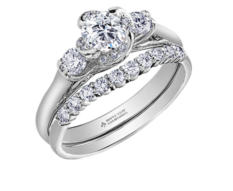 18K White Gold Palladium Alloy (hypoallergenic) 0.50-0.80cttw Round Brilliant 3 Stone Canadian Diamond Engagement Ring - / 0.50 Carat Total