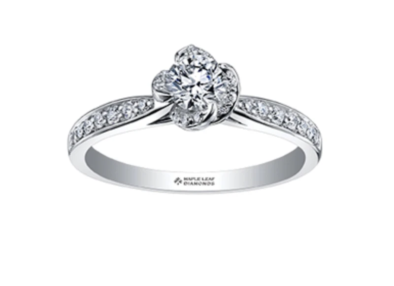 18K White & Yellow Gold Palladium Alloy (hypoallergenic) 0.60-0.80cttw Round Brilliant Canadian Diamond Engagement Ring - / 0.60 Carat Total