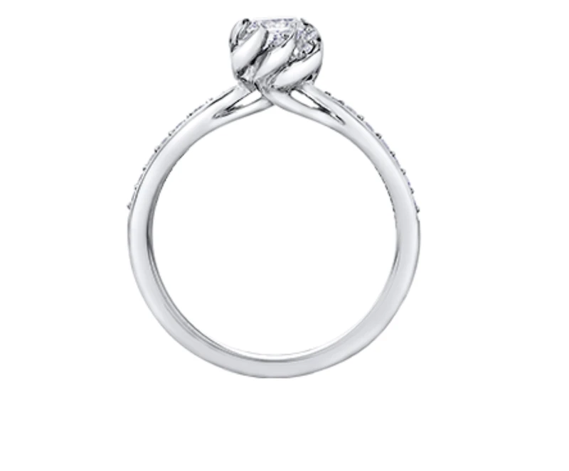 18K White Gold Palladium Alloy (hypoallergenic) 0.60cttw Princess Cut Canadian Diamond Engagement Ring