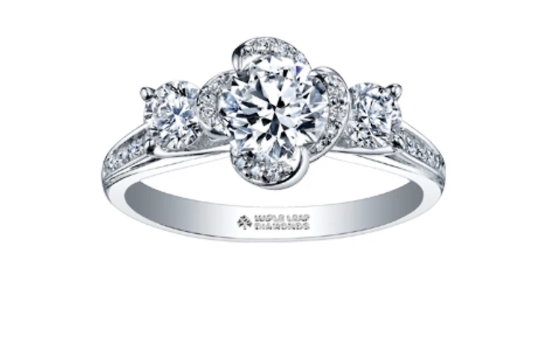 18K White Gold & Palladium Alloy (hypoallergenic) 0.65-1.65cttw 3 Stone Canadian Diamond Engagement Ring - / Carat Total
