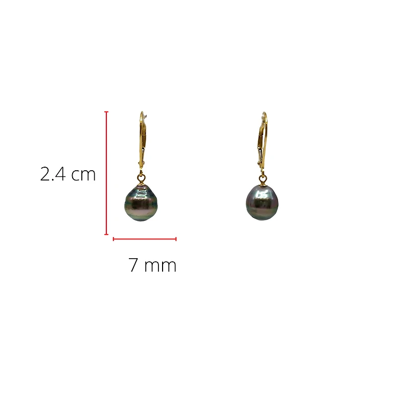 14K Gold Tahitian Pearl Earrings with Lever Backs