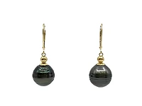 14K Yellow Gold 12mm Tahitian Pearl Earrings with Lever Backs