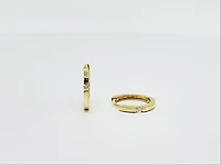 10K Gold 0.04cttw Diamond Hoop / Huggie / Hinged Earring