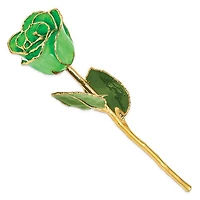 24K Lacquer Dipped Gold Trimmed Geo Green Real Rose