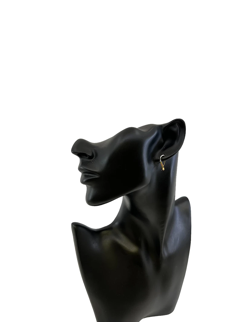 10K Two Tone Gold 18mm Earrings