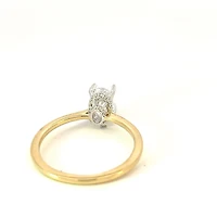 14K Oval Cut Hidden Halo Diamond Ring - Mount Only (No centre diamond) / Gold