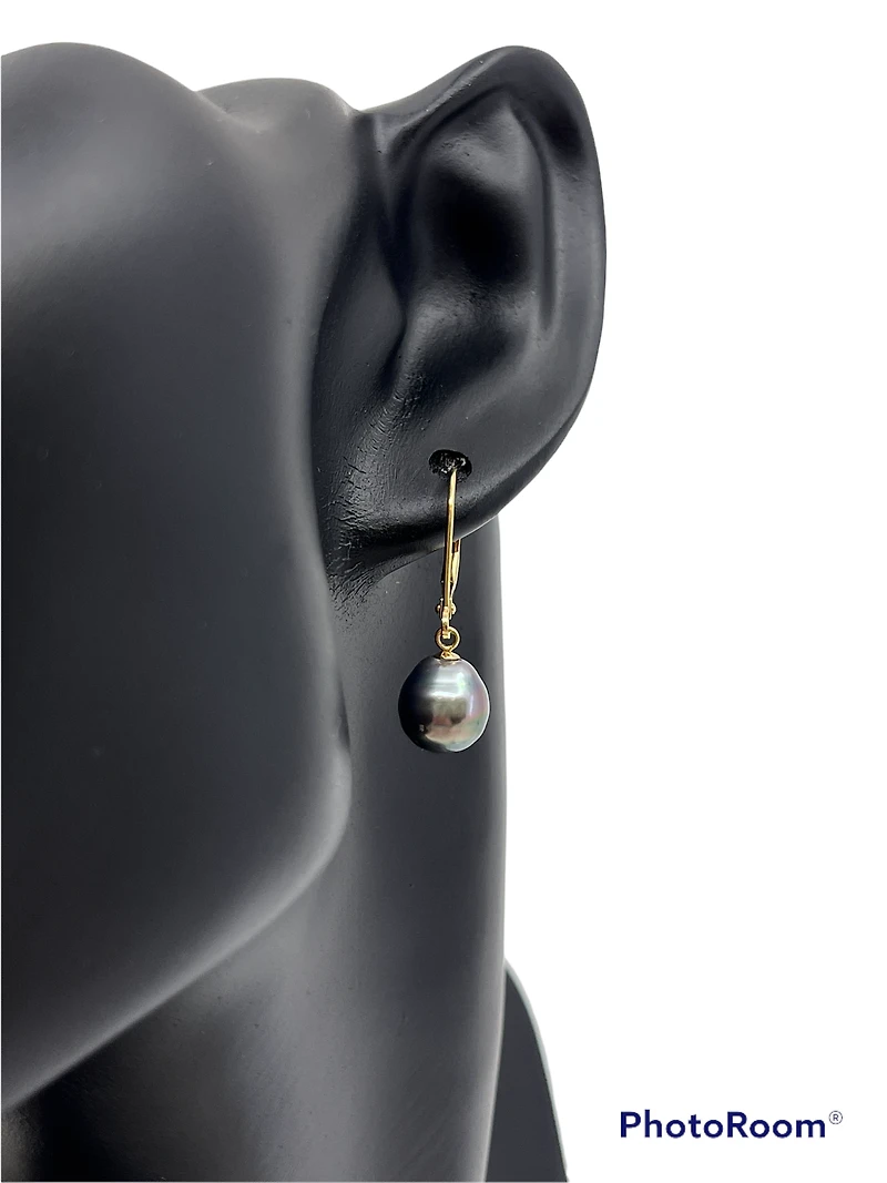14K Gold Tahitian Pearl Earrings with Lever Backs