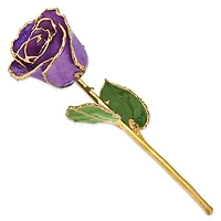 24K Lacquer Dipped Gold Trimmed Real Rose