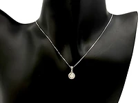 14K White Gold 0.33cttw Canadian Diamond Pendant - 18 Inches