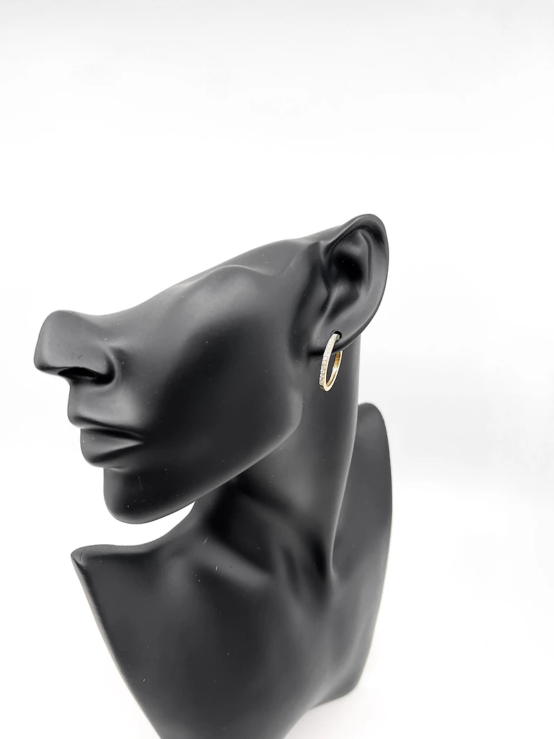 10K Yellow Gold 0.33cttw Diamond Hoop Earrings