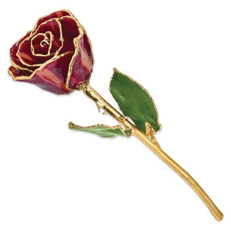 24K Lacquer Dipped Gold Trimmed Abracadabra Real Rose