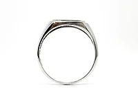 10K White Gold 0.007cttw Diamond Signet Ring - /