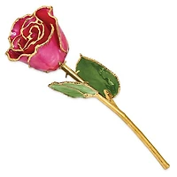 24K Lacquer Dipped Gold Trimmed Plum Fuchsia Real Rose