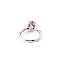 14K White Gold 3.62cttw Lab Grown Diamond Engagement Ring - /