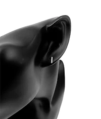 10K White Gold 0.14cttw Diamond Bar Earring