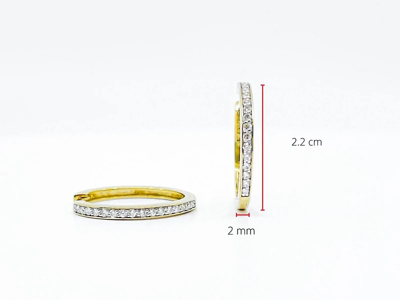 10K Yellow Gold 0.33cttw Diamond Hoop Earrings