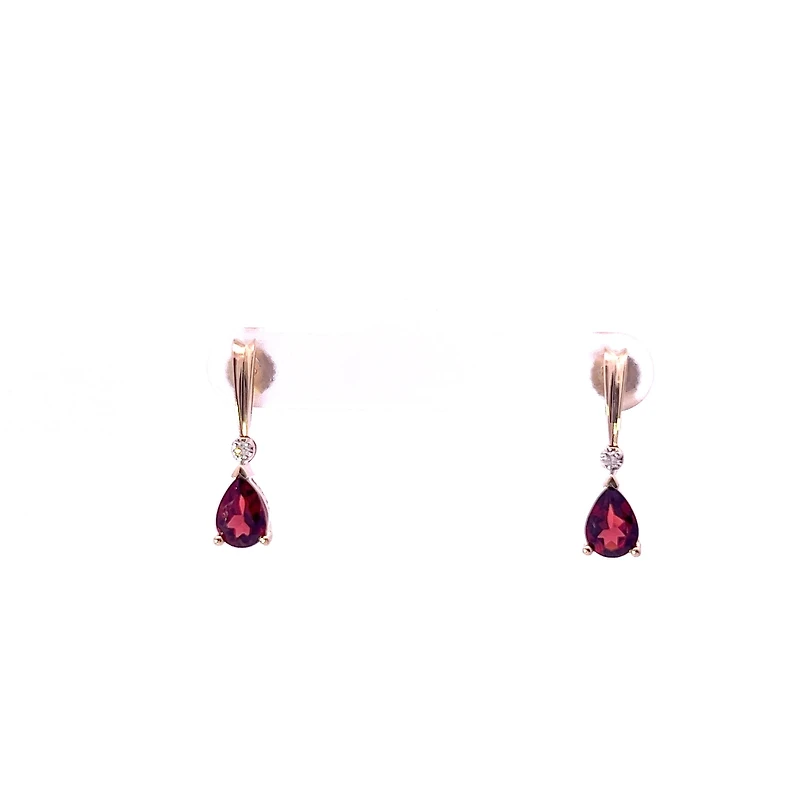10K Yellow Gold Genuine Garnet & 0.025cttw Diamond Earrings