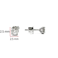14K White Gold 0.15cttw Canadian Diamond Earrings
