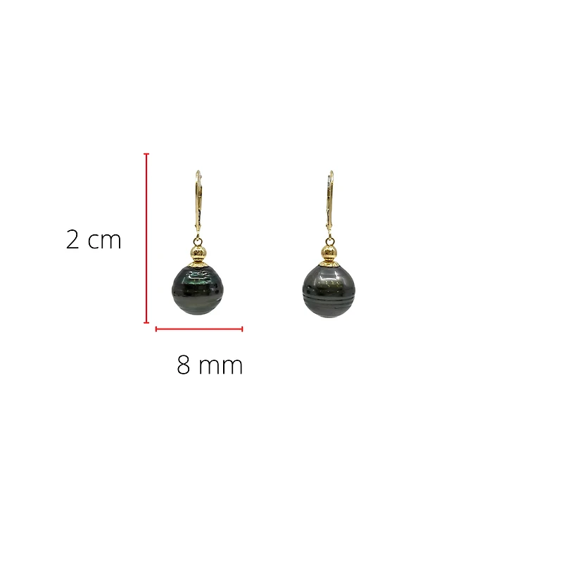 14K Yellow Gold 12mm Tahitian Pearl Earrings with Lever Backs