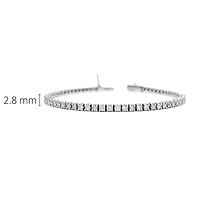 14K White Gold 3.00cttw Diamond Tennis Bracelet, 7"