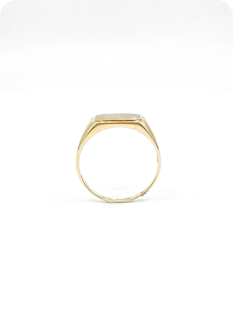 10K Yellow Gold 0.007cttw Diamond Signet Ring for Men, - /