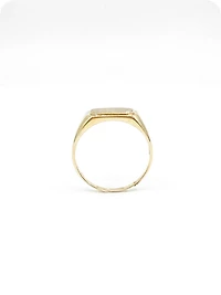 10K Yellow Gold 0.007cttw Diamond Signet Ring for Men, - /
