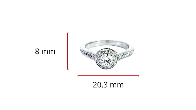 14K White Gold 0.67cttw Round Brilliant Cut Diamond Halo Engagement Ring