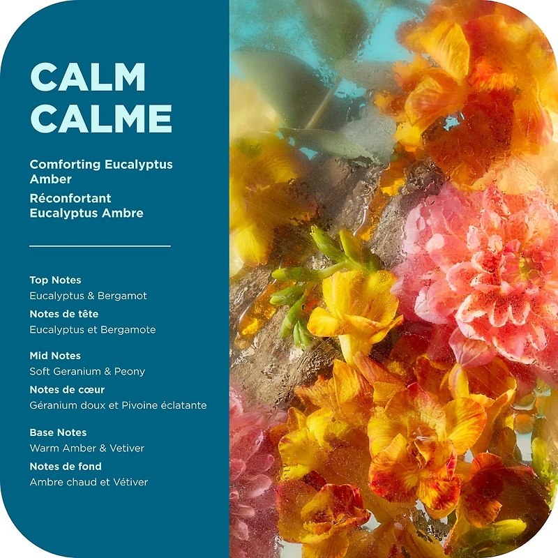 OLLY Vitamin Complex Body Wash, Calm, Eucalyptus Amber