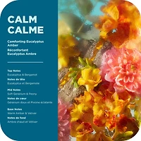 OLLY Vitamin Complex Body Wash, Calm, Eucalyptus Amber