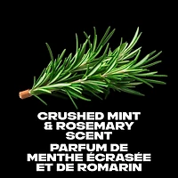 AXE  Dual Action Body Wash for Long-Lasting Freshness Phoenix Crushed Mint & Rosemary Scent Men's Moisturizing Shower Gel 473 ml