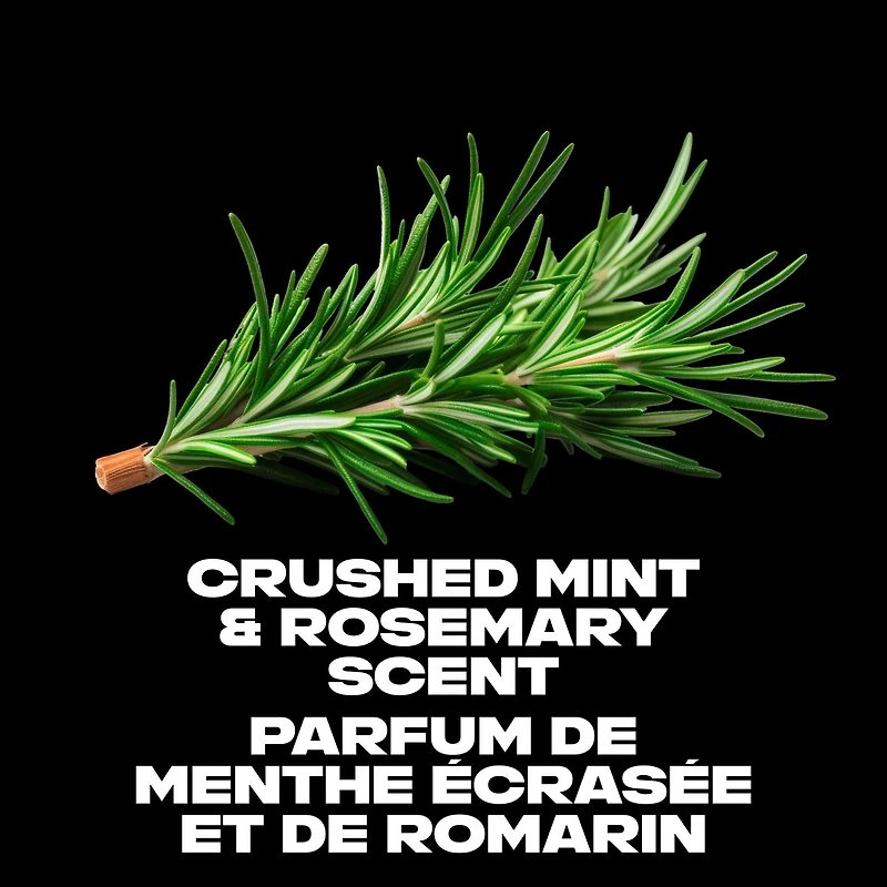 AXE  Dual Action Body Wash for Long-Lasting Freshness Phoenix Crushed Mint & Rosemary Scent Men's Moisturizing Shower Gel 473 ml