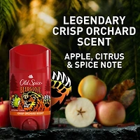 Antisudorifique et désodorisant invisible en bâton pour hommes, collection Sauvage, Bearglove, 73 g