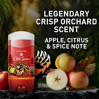 Old Spice Bearglove Scent Deodorant for Men, 85g