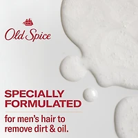 Old Spice Fiji 2in1 Shampoo and Conditioner for Men, 13.5 fl oz