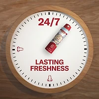 Old Spice Aluminum Free Dry Spray, Wilderness
