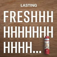 Old Spice Aluminum Free Dry Spray, Wilderness