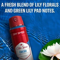 Antisudorifique et désodorisant invisible en aérosol pour hommes, fraîcheur 24 heures sur 24, 7 jours sur 7, protection durable contre la transpiration et les odeurs, parfum légendaire, Haute efficacit