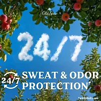 Antisudorifique et désodorisant pour hommes Harvest, fraîcheur et protection contre la transpiration durables 24heures sur 24, 7jours sur 7