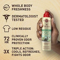 Whole Body Deodorant for Men, Total Body Deodorant, Aloe + Rain, Aluminum Free Spray for 24/7 Freshness