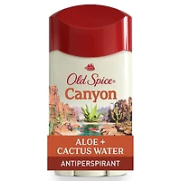 Antisudorifique et désodorisant pour hommes, Canyon, parfum d’aloès et d’eau de cactus, fraîcheur durable 24