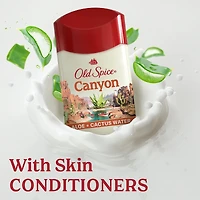 Antisudorifique et désodorisant pour hommes, Canyon, parfum d’aloès et d’eau de cactus, fraîcheur durable 24